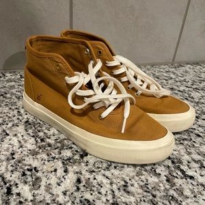 Everlane high top sneakers